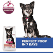 Canine Perfect Digestion Small &amp; Mini Breed