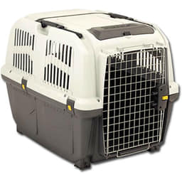 Transportbox IATA gross