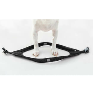 Harnais pour chien Fast-Fit noir
