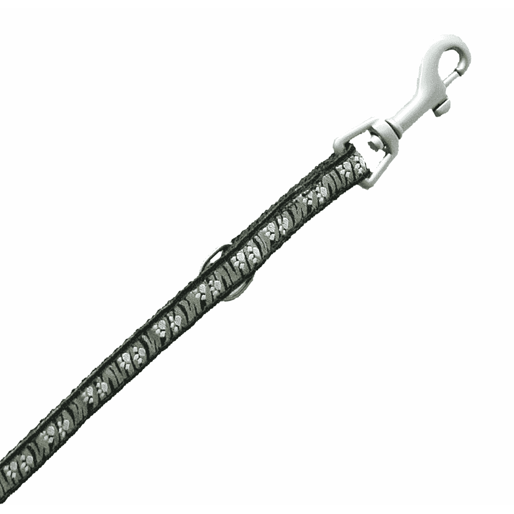 DoggyLine lead, 25 mm / 180 cm, black
