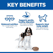 Canine Adult Turkey - Can