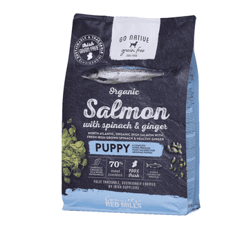Puppy with Organic Salmon Dry Dog Food