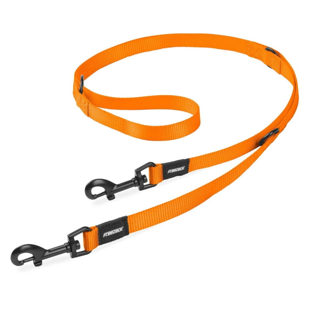 Basic Dog leash XL