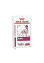 Renal Dog - in Frischebeuteln