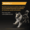Dog Mobility +