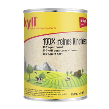 kyli Boîte bœuf