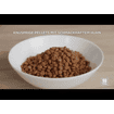 Canine Adult Healthy Mobility Small + Mini Breed