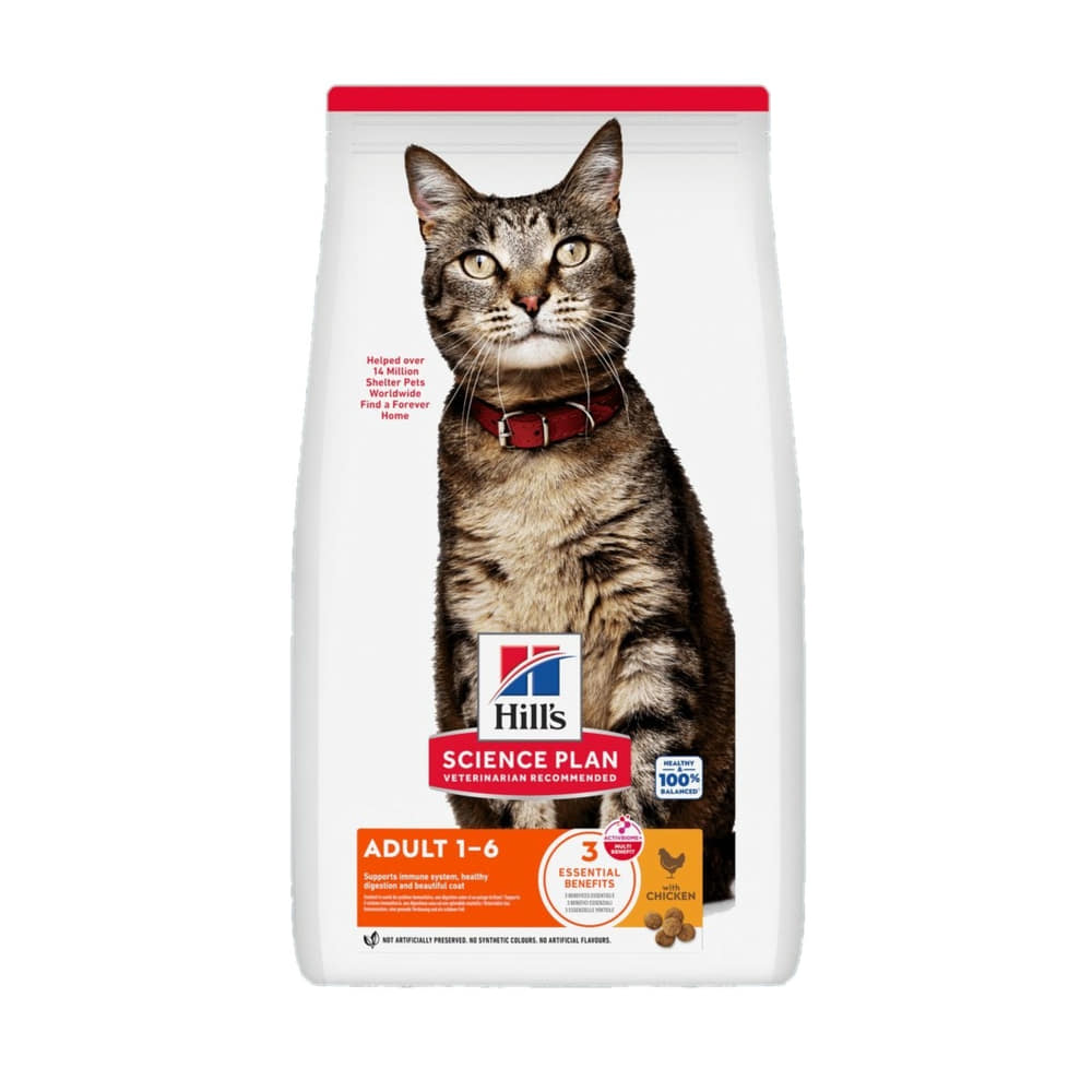Feline Adult Chicken