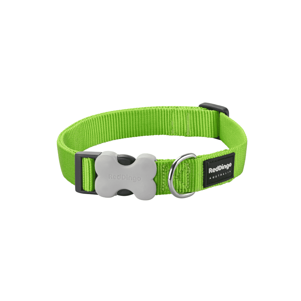 Collier Plain Classic Lime Green