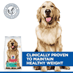 Canine Adult Perfect Weight Large Breed