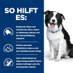 Canine t/d Dental Care
