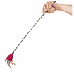 Cat fishing rod feather duster