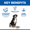 Canine Senior Vitality 6+ Large Breed