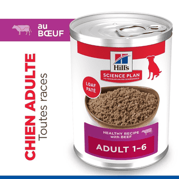 Canine Adult Beef - Boîte