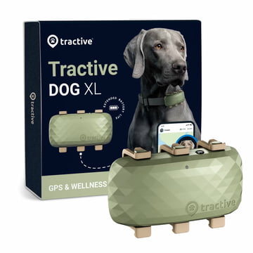 GPS Tracker pour chiens XL