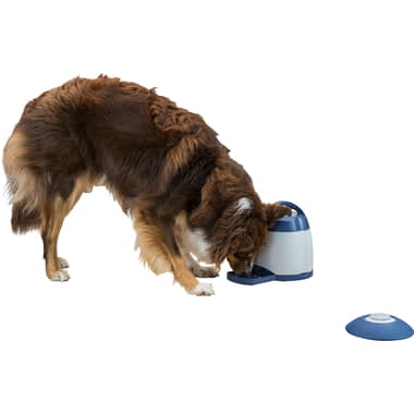 Trixie Dog Activity Memory Trainer 3.0 sur iPet.ch