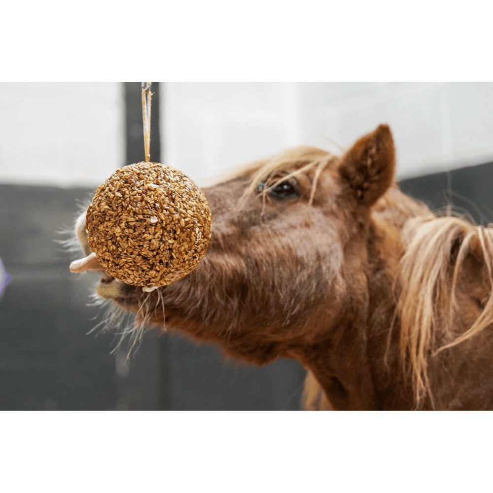 Granola Stable Ball