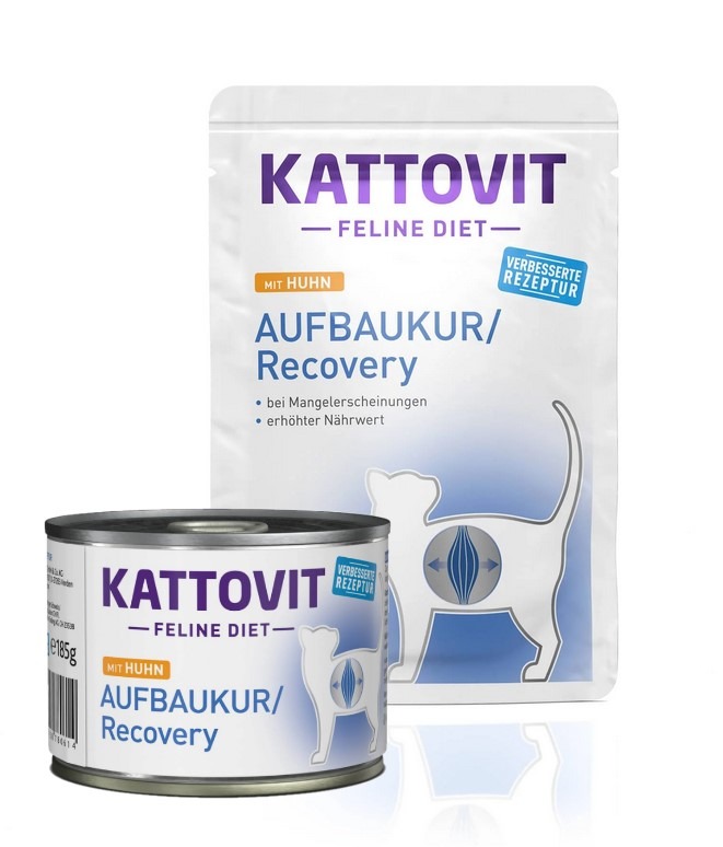 Aufbaukur/Recovery