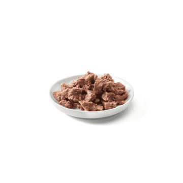 Adult Bio-Truthahn Sensitive getreidefrei
