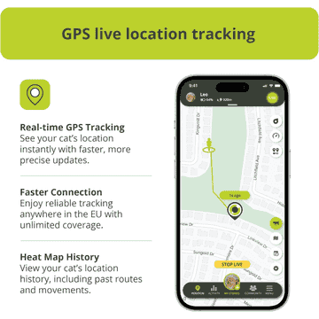 CAT GPS Collar for Cats, Version 2