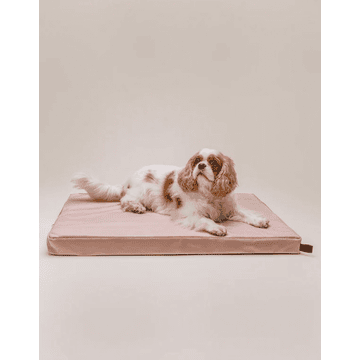 Matelas orthopédique pour chiens Chill Dusty Rose
