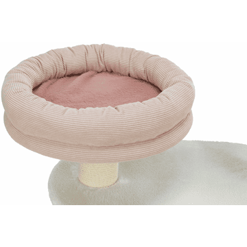 Isabella cat scratcher