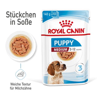 Medium Puppy - Stückchen in Sauce