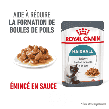 Hairball Care Gravy - Sachet
