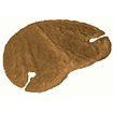 Swisspet Living cat scratcher, kit system, kidneys
