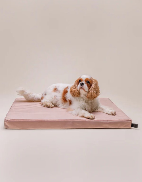 Matelas orthopédique pour chiens Chill Dusty Rose