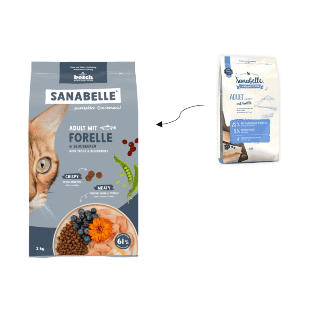 Adult Forelle