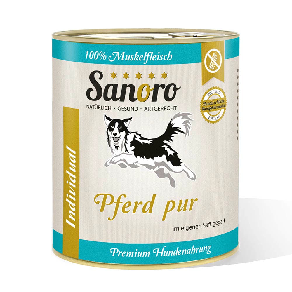 Pferd pur