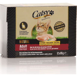 Adult Sterilised Cat