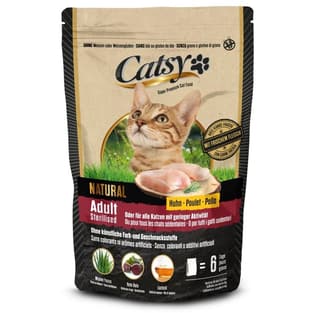 Adult Sterilised Cat