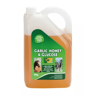 Garlic, Honey & Glucose