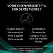 CANINE EN Gastrointestinal