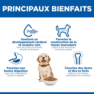 Puppy Large Breed