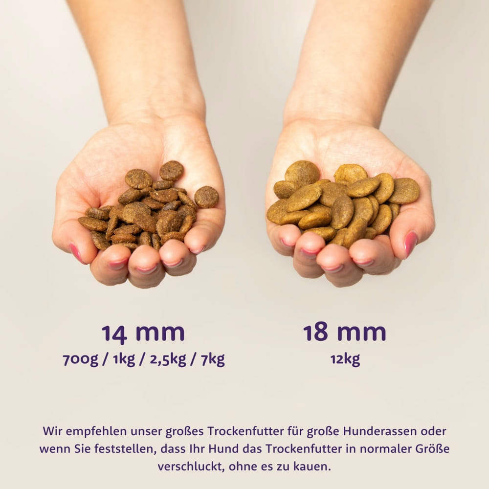 Adult Frisches Huhn