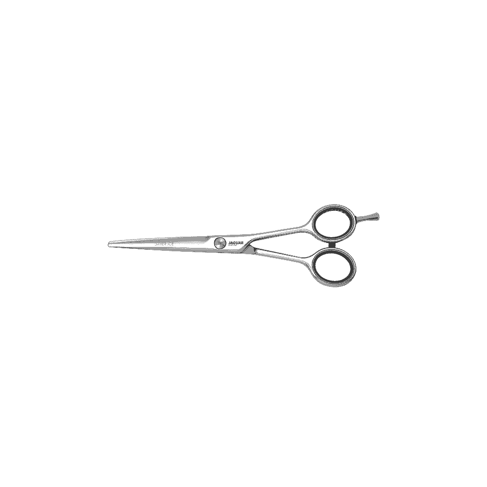 Silver Ice hairdressing scissors