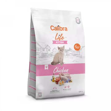 Life Kitten Poulet