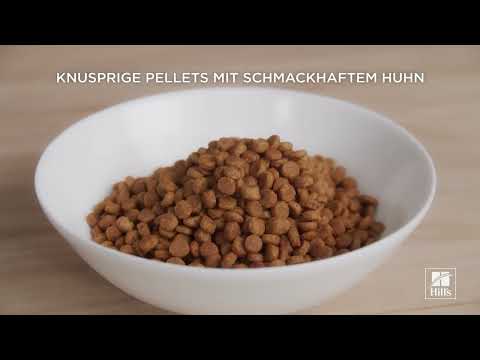 Canine Adult Healthy Mobility Small + Mini Breed