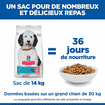 Canine Hypoallergenic Large Breed Saumon