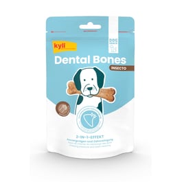 Dental Bones Insecto