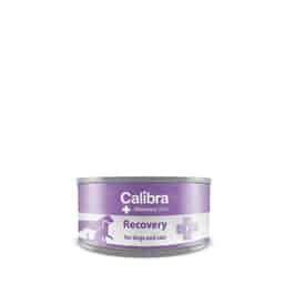 Canine/Feline Recovery