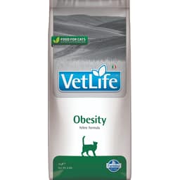 Feline Obesity