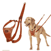No Pull Harness, orange
