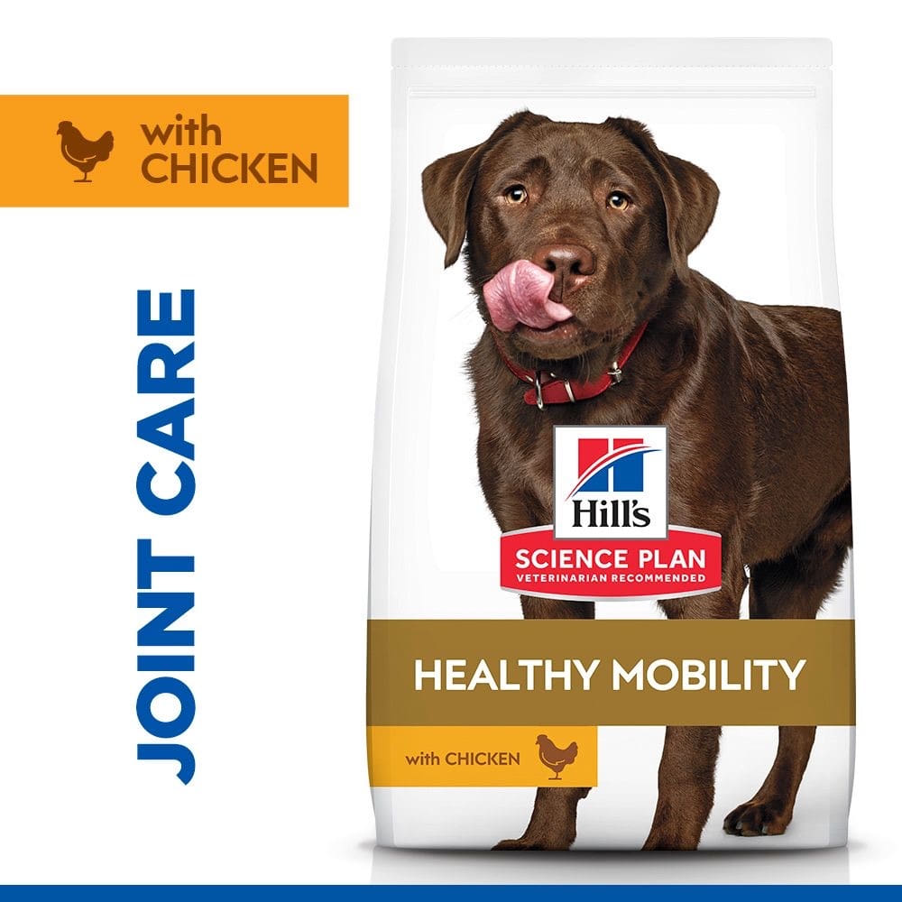 Canine Adult Healthy Mobility Large Breed