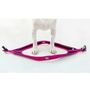 Hundegeschirr Fast-Fit pink