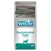 Canine Puppy Gastrointestinal