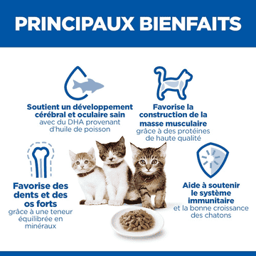 Kitten Ocean Fish - Sachets de nourriture fraîche
